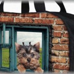 【衝撃】兄嫁が、兄の婚前の貯金を使いこんでたことが発覚。兄嫁、ルックスは肉付きのいいヤワラちゃんなのだが、その散財理由が衝撃だった。