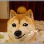 【GJ!!】大好きなｺﾄﾒちゃんが流産したらしく、慰めてやってとﾄﾒに言われたので病院へ行くことに。数年前私が流産したときにコトメちゃんが私にしてくれたコト、全部そっくりそのまましてきてあげたよ☆