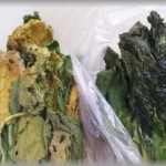 【スカッとする復讐】汚屋敷住人のウトメ「もったいないからあげる」古そうな肉や化石になりかけの岩みたいになったパンや腐葉土になりかけの野菜をもらったので・・・