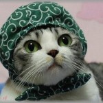 【泥ママ】ママ友計６人＆子供達で集まった。Bさん「私の薬が入ってるポーチ見なかった？」さっき薬を飲んでいた時はあったのに、探しても見つからない。Eさん「皆気を悪くしないで貰いたいんだけど、このまま帰ったらモヤモヤするし皆で荷物をあらためない？」