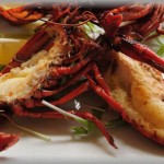 【コウトGJ】同居している我が家のトメは私の料理を貶して捨ててしまう。トメ「嫁の躾よ！」→ザリガニを採ってきて伊勢海老を料理するみたいに綺麗に盛って食卓に出した。