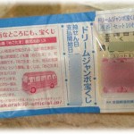 【衝撃体験】年末ジャンボで20万当たり、震災で壊れた家をやっと直せると井戸端会議で話した晩、家で寝ていると「ぎゃぁ～～～！」という悲鳴がして飛び起きた。慌てて見に行くと廊下に覆面をかぶった泥棒が！！旦那が捕まえて、私がリビングに行くと…泥棒がもう一人…？しかし事態はそれだけで収まらなくて…。