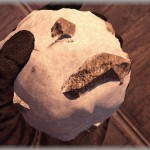 【惨事】小学生の頃、校庭で雪合戦をすることに。私はデブで先生にいつもからかわれていたので雪玉の中に石を入れて先生に思いっきりぶつけたら前歯が３本も折れて流血！救急車を呼ぶ大騒動に。でも犯人は私だとバレずに無事卒業。しかし先日の同窓会で…