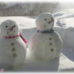 【DQN返し】俺と友人が監督役になって、近所の子供と公園で雪だるまを作った。2～3時間くらいかかったがようやく完成しベンチで休んでいると軽自動車が入ってきて、何を思ったかそのまま雪だるまに体当たりした。もちろん雪だるまはバラバラ。子供はギャン泣き。乗っていた女二人に文句を言うと「雪だるま壊しちゃダメって法律あんの？ｗ」「一生懸命作ったのにね～ウケるｗｗ」だと。こりゃ仕返しするしかないな…。