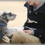 【良い話】引きこもりってほどじゃないけどとてもおとなしい義弟はなんか取っつき難くて苦手意識があった。しかし、私たち夫婦が犬を飼い始めて彼の人生が変わった。