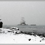 【惨事】波打ち際から10メートル程の場所に仕事の資材とかを置いている空き地を所有しているんだが、この前のある日そこに知らない軽自動が停まっていた。翌日にはいなくなるだろうと思っていたらその夜にドッカリ雪が積もって大変なことにｗｗｗ