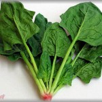 【役立ち】馬鹿上司「報告・連絡・相談をすることが大事だ！」報・連・相を考えた人「いや、そうじゃない」