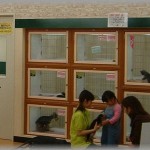 【泥ママ】ホームセンターで子持ちのママに声かけられた「あのーバッグの背中側のひも切れそうですよ」私「え？」鞄を取った瞬間その人が鞄持って走り出した。