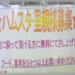 【イジメ＆生活苦】ハムスターの里親募集に応募したことを子供が学校で発表したら、人間の里親夫婦が「人間以外の里親を里親と呼ぶな！」と学校に怒鳴り込み・・・