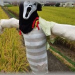 【胸糞】畑泥棒が出るようになったので、軽く驚かす程度の仕掛けを作った　→　結果