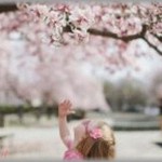 【衝撃のコトメ】独身35歳コトメ「花見に行く。友達たちが小さい子ども連れてくるから私も甥っ子君連れて行くね～酒飲むから送り迎えよろしく☆」