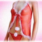 【ふふっとなる話】10年近く前、12月23日の甥の誕生日に義姉夫婦が甥の家へ行くと、サンタ風セクシーランジェリーの彼女とイチャイチャしてる最中だったらしい。そのせいで甥がふられたらどうしようと義姉が落ち込んでいた。ということを今日甥から来たメールで思い出した。だって…ｗ