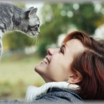【偽猫愛】母が猫を飼い始めた。すると弟嫁が入り浸り、母の留守中にまであがりこんで猫とじゃれあいに来るわ、人間の食べ物を落としたフリして猫にあげようとするらしい。
