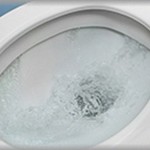 【虫注意】田舎で暮らしていたある夏の日、トイレの水を流すと大量のカブトムシの幼虫みたいなのが流れてきた。