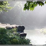 【真相は・・・】親戚の叔父さんがキノコの穴場を知ってるのでハシゴやロープを持って行った。それをそのままにしてキノコを採っていたら、ババアが俺らのハシゴを使って渡って来た。