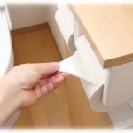 【キチガイ】兄嫁にはパクり癖があって、実家にあるトイレットペーパーやら食材やらを根こそぎ持って帰る。さらに、お墓参りの前に来た時には…。←これで実家出禁になった。しかもそれだけで収まらなくて…。