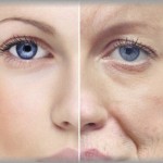 【エグい仕返し】ドレス作りや内装デザインが趣味の私は兄嫁に粘着された。警察に言っても家族内の案件は取り扱えないとかで悩んでいたら、彼氏から素晴らしい提案がｗｗｗ