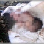 【衝撃体験】道を歩いてたら端っこに赤黒い物体を発見。犬か猫の死体かと思ったら・・・！