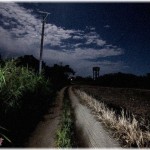 【修羅場】ど田舎の夜道で行われるマラソン大会の練習に強制参加。運動音痴なので最後尾をモタモタ走っていたら、伴奏の大人たちに置いて行かれてしまった！