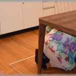 【エネ】地震があった際に状況を見て外には出ずテーブルの下に避難した。しかしトメは外に避難したらしい。それを聞いた旦那が・・・