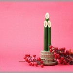 【スカッと】お正月義実家に行ったら義妹夫婦も来ていた。義妹夫「本来はご主人様の実家に行くべきなのに、こっちに来させてやった感謝しろ」義妹「・・・」