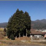 【田舎】旦那「嫁が妊娠した！」姑「堕胎しろ」私「！？」姑「来年は旦那弟の結婚式があるから堕胎しろ」