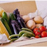 【セコケチママ】ご近所さん宅に野菜入りの段ボールが配達されるのをみたママ友が「おすそ分け貰えないかな」と言い出しドン引き！更に…