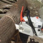 【キチガイ】切り倒した桜の木を譲ってもらって薪ストーブ用に切り出してたら警察が来た。許可を貰っていることを話していると「この泥棒捕まえて！」と聞き覚えのあるママさんの声が…。