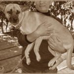 【いい話】義父が亡くなった時、しかめっ面の写真しか残ってなかった。笑顔の写真なんてひとつもなくて遺影にするには･･･って旦那と義弟が困っていた。私「これは？」