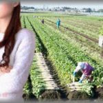 【スカッとする話】実家の農業を嫌って都会に出てた義弟がリストラにあった。義父の紹介で工場勤務することになり田舎に帰ってきたんだけど、義弟嫁が「何にもない田舎！工場なんて汚い！」と愚痴が酷いので、実家の事務を手伝わせたら全く役に立たずお払い箱に。仕方ないので農作業を手伝わせようとしたら「農家なんて汚い！なんで私が土を構わないといけないの？！」