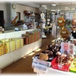 【泥ママ】家族で動物園に行った時に、買った帽子を娘が落とした、と思ったら子連れの女がそれを拾って息子に被せた。私「ちょ、それうちの！」→泥の反応がめちゃ怖…