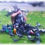 【ウラヤマシス】義兄は大男なのにディズニープリンセス属性って聞いてて謎だったんだけど、今回その謎が解けた。