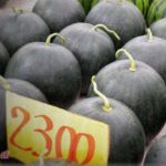 【泥一家】じいちゃんが作る高級スイカを盗みに来た泥ママ。カッターでビニールハウスを切っている時に電線に刃を入れてしまい、感電して失神、刑務所送りになった。ところが翌日、泥ママの母親が同じことをし、なんと感電死！さすがにそれで終わりと思ったら・・・