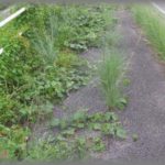 【最悪】夫の転勤で地方へ引っ越したんだけど・・・