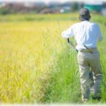 【和む】田舎の国道沿いにお洒落なカフェが出来た。立地的に若い子が多いが、服に気を使わないようなおじいちゃんも来てた、のだがこのおじいちゃんに素敵な変化が…