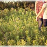 【墓場まで持っていく話】旦那は元女。出会いは高校で、その頃の旦那の印象は…。