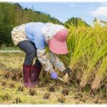 【修羅場】妹のお見合い相手は話しかけても全く話さず、答えるのはもっぱら横に座ってる母親。あり得ないので妹は即座に断りの連絡を入れた。すると相手母親から連絡が来て「一度見合いをしたらもううちの嫁に決まったも同じ。早くうちに来て農作業手伝え！」