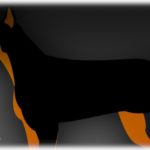 【相談】妊婦の私にドーベルマンが飛びかかってきた！旦那がかばって追い払ってくれたのだが、犬の飼い主が…