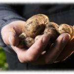 【仕返し】私「家庭菜園のじゃがいももうすぐ収穫だぁ♪……あれ…ない？！盗まれた！！」犯人はわからないけど仕返しの為にこんなことを言ってみた。