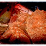 【殺人未遂】だまし討ちで姉にアレルゲン食材を食べさせた姑。姉はのたうちまわり病院に運ばれたのだが、姑の言い分に対して医者が…。