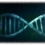 【幻滅】私「夫に子のDNA鑑定したいって言われたから、あらかじめしておいた結果見せたらスンッ…ってしてた」スレ民「私も言われた…。私の場合は…」