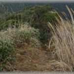 【名付け】キラキラネームや流行の名前を本当に忌み嫌いまくっていた私が、可愛らしいと感じる響きや漢字は絶対に使わないように考えた挙句、我が子につけた