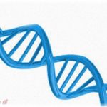 【修羅場】付き合っている彼女が妊娠したので急いで家族に連絡し結婚の準備を進め、俺家族と彼女家族で食事会をした。和やかに進んでいた食事会だったが妹が突然「子供のDNA鑑定をお願いできませんか？」と言って、場が凍った。