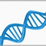 【修羅場】父が２ちゃんに感化されて、子供である私のDNA鑑定をこっそり実行していた…しかも、「親子の可能性は限りなく低い」という鑑定結果が届き我が家は修羅場に陥った…